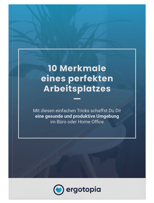 E-Book Cover 10 Merkmale für einen perfekten Arbeitsplatz